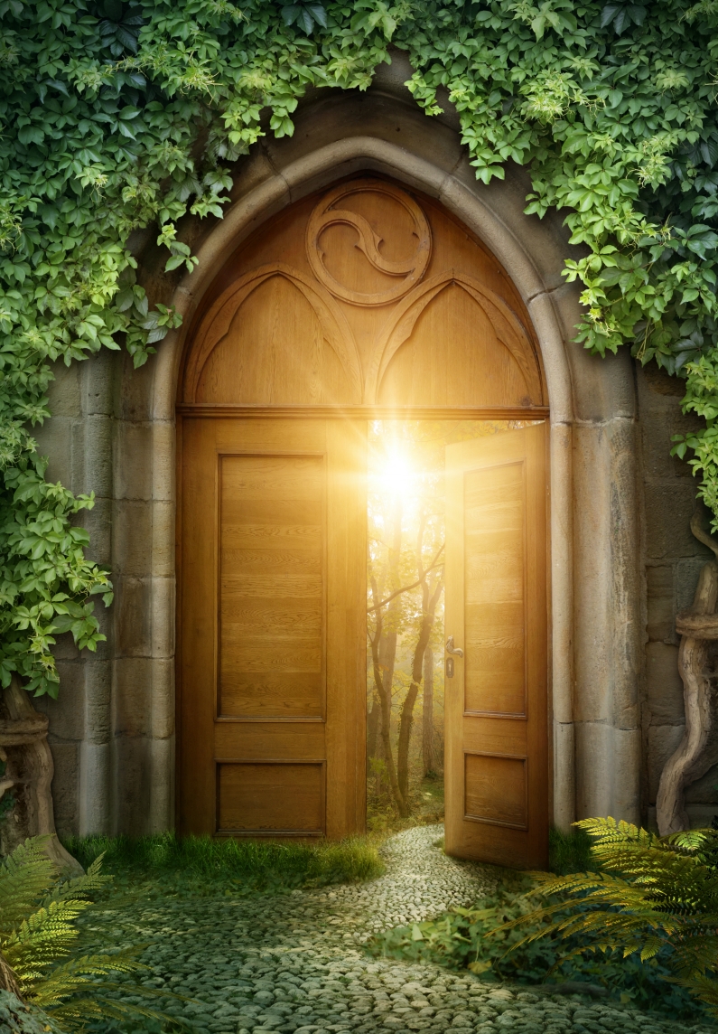 Дверь в сказочный мир. Сказочная дверь. Дверь в сказку. Сказочные ворота.