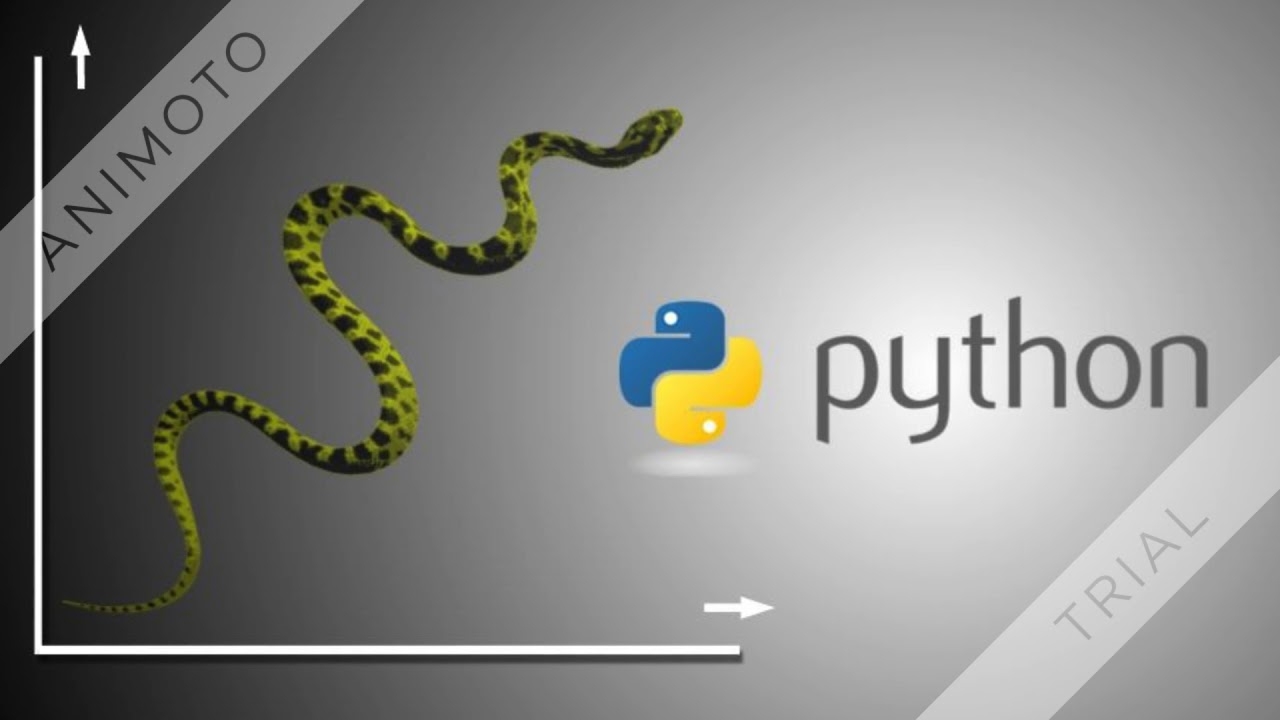 Python очно. Питон программирование. Пайтон язык программирования. Язык программирования Python. Питон язык.