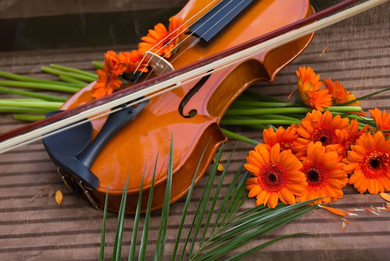 Осенние скрипки. Скрипка. Скрипка и цветы. Музыкальные инструменты и цветы. Цветы для музыканта.