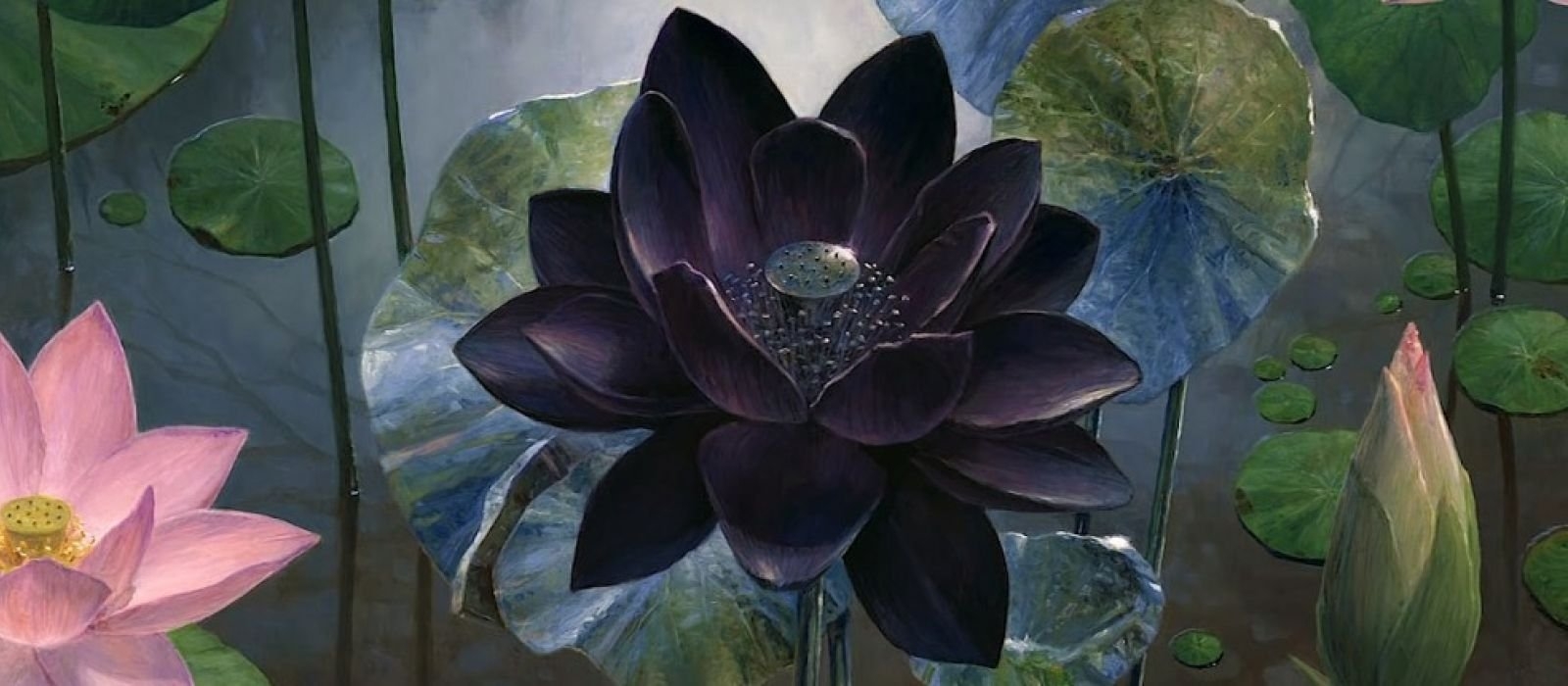 Lotus orb dota фото 112