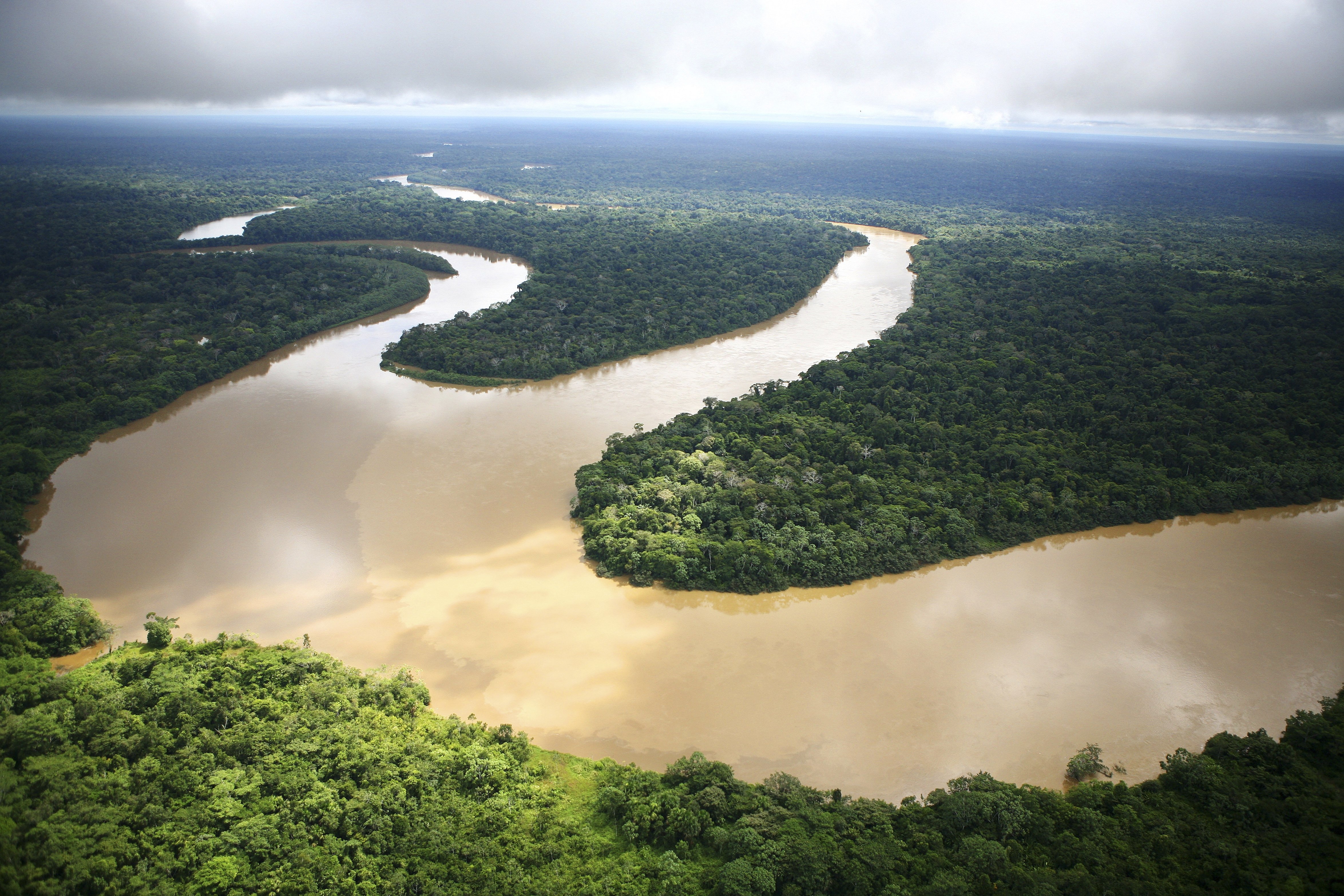 Какие крупные озера находятся на амазонской низменности. Южная Америка река Амазонка. Амазония река Амазонка. Река Ориноко. Река Ориноко Южная Америка.