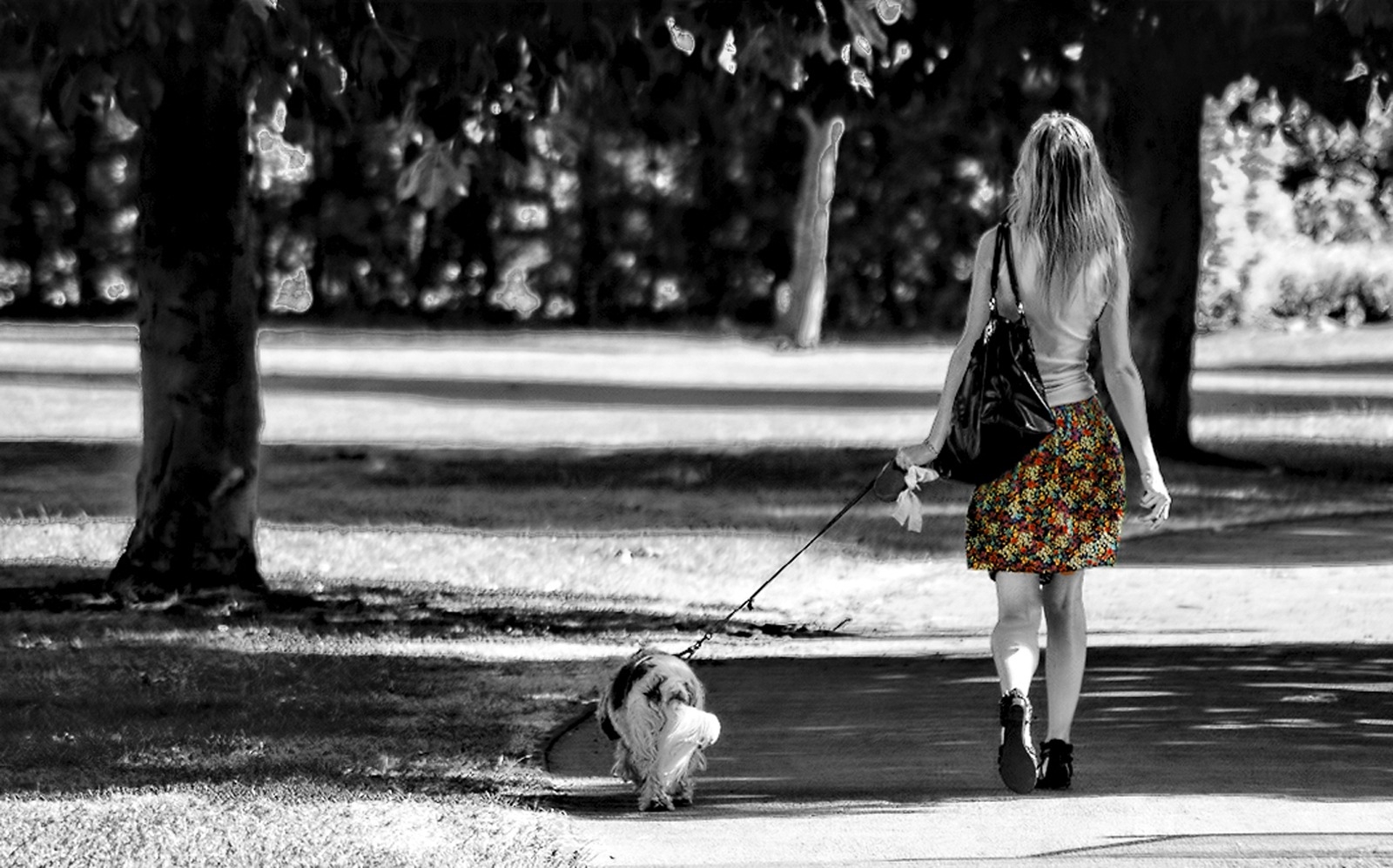 Гуляем с белой. Девушка с собачкой. Девушка гуляет с собакой. Собачка на прогулке. Прогулка с собакой.