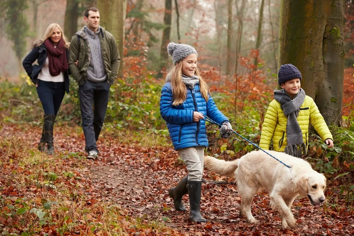На свежем воздухе можно гулять. Семья на прогулке. Прогулка в парке. Дети на прогулке. Прогулка с собакой.